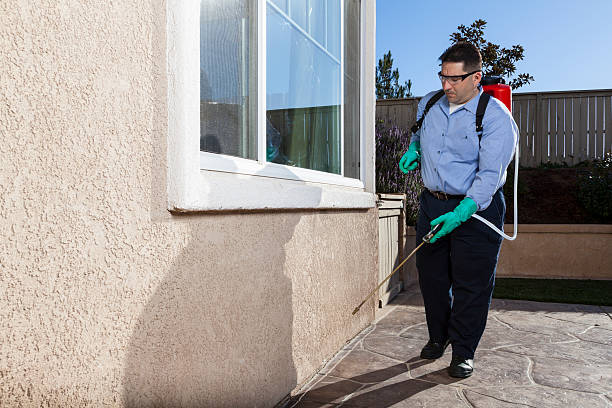 Best Outdoor Pest Control  in Hildale, UT